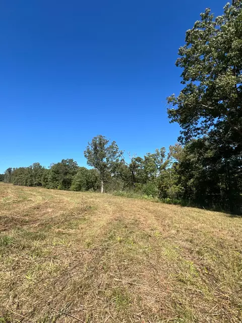 34771 Mo-14, Ava, MO 65608 photo 94