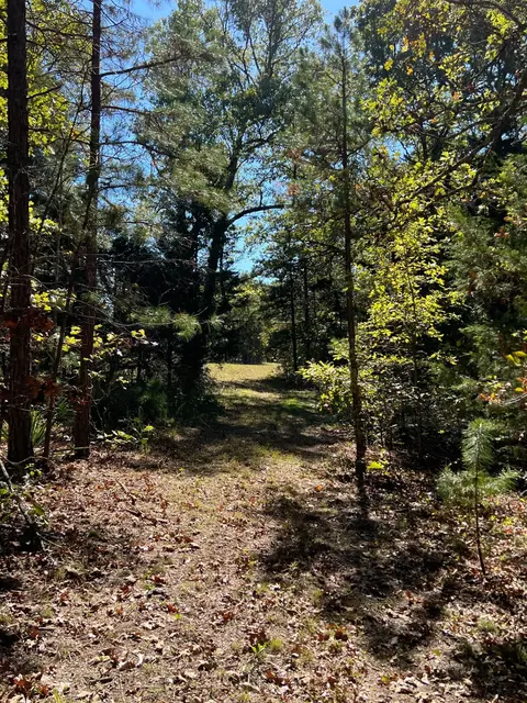34771 Mo-14, Ava, MO 65608 photo 125