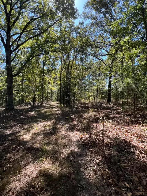 34771 Mo-14, Ava, MO 65608 photo 113