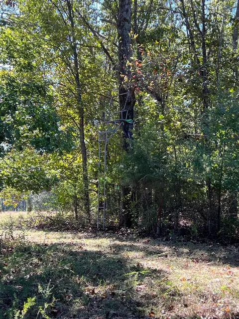 34771 Mo-14, Ava, MO 65608 photo 95