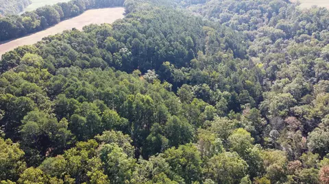 34771 Mo-14, Ava, MO 65608 photo 21