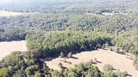 34771 Mo-14, Ava, MO 65608 photo 50