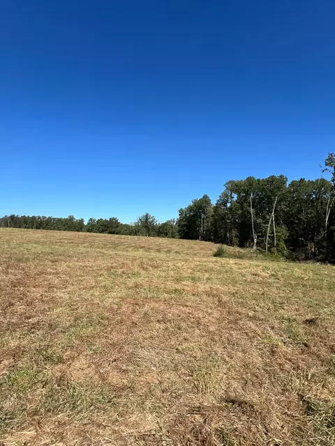34771 Mo-14, Ava, MO 65608 photo 110