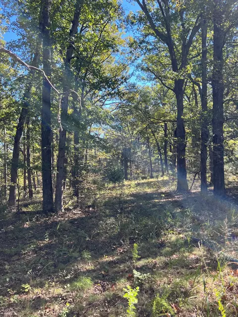 34771 Mo-14, Ava, MO 65608 photo 97