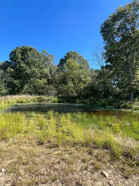 34771 Mo-14, Ava, MO 65608 photo 109