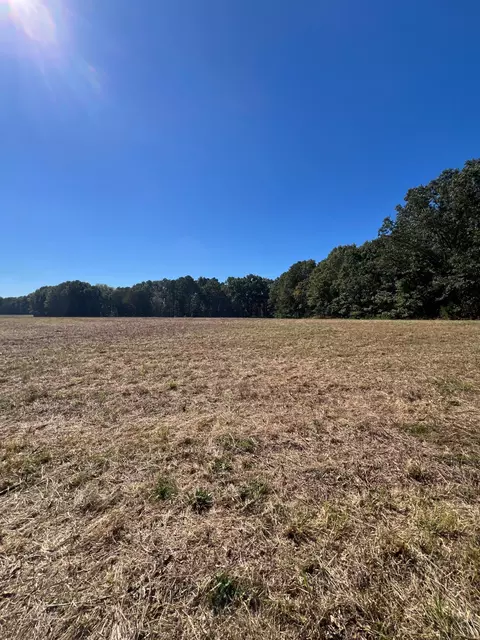 34771 Mo-14, Ava, MO 65608 photo 124