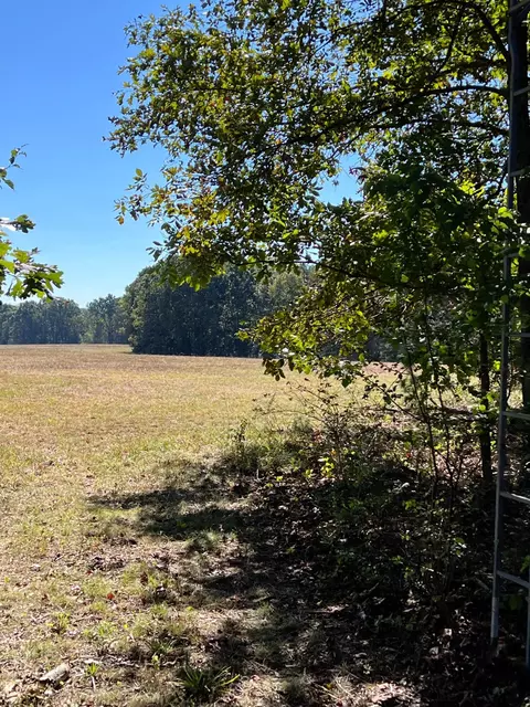 34771 Mo-14, Ava, MO 65608 photo 85
