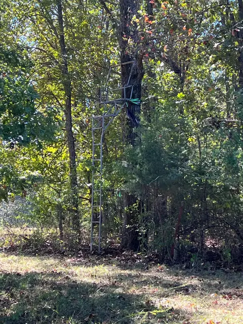 34771 Mo-14, Ava, MO 65608 photo 107