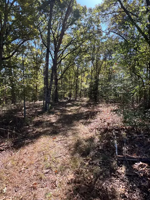 34771 Mo-14, Ava, MO 65608 photo 103