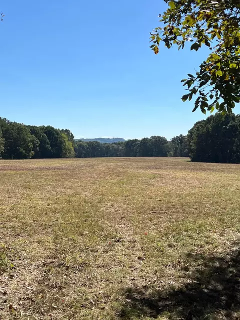 34771 Mo-14, Ava, MO 65608 photo 119