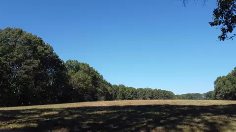 34771 Mo-14, Ava, MO 65608 photo 31