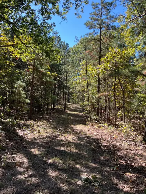 34771 Mo-14, Ava, MO 65608 photo 92