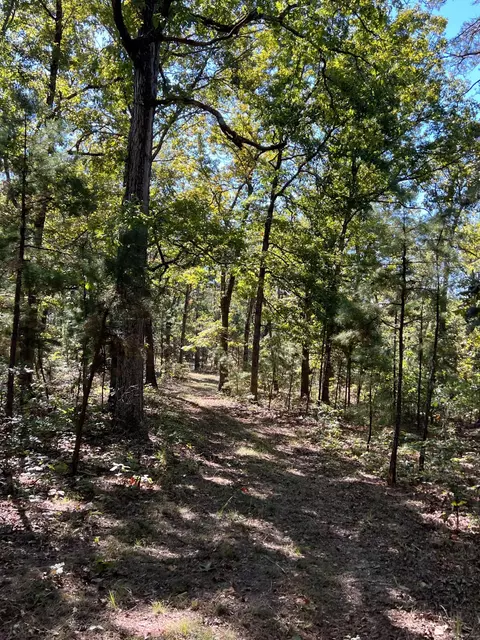 34771 Mo-14, Ava, MO 65608 photo 89