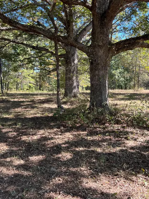 34771 Mo-14, Ava, MO 65608 photo 102