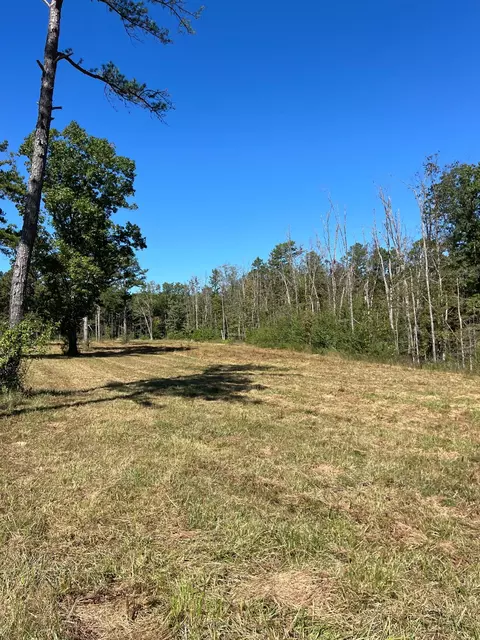34771 Mo-14, Ava, MO 65608 photo 84