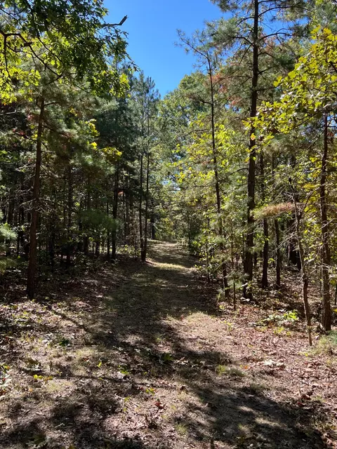 34771 Mo-14, Ava, MO 65608 photo 82