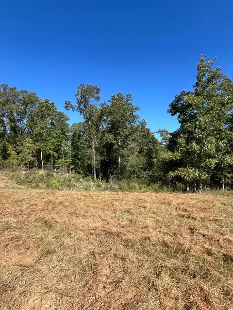 34771 Mo-14, Ava, MO 65608 photo 106