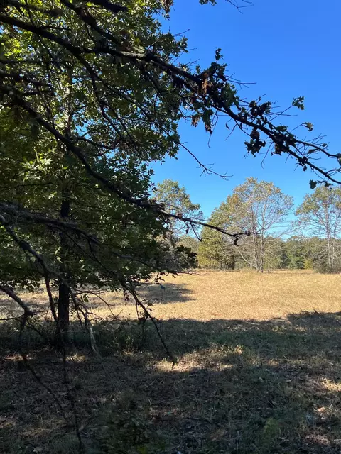 34771 Mo-14, Ava, MO 65608 photo 123