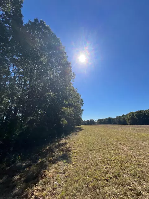 34771 Mo-14, Ava, MO 65608 photo 126