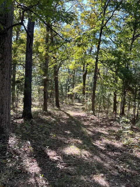 34771 Mo-14, Ava, MO 65608 photo 122