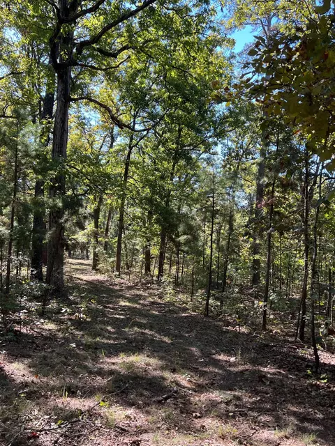 34771 Mo-14, Ava, MO 65608 photo 98