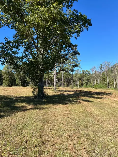 34771 Mo-14, Ava, MO 65608 photo 80