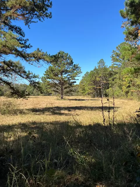 34771 Mo-14, Ava, MO 65608 photo 117