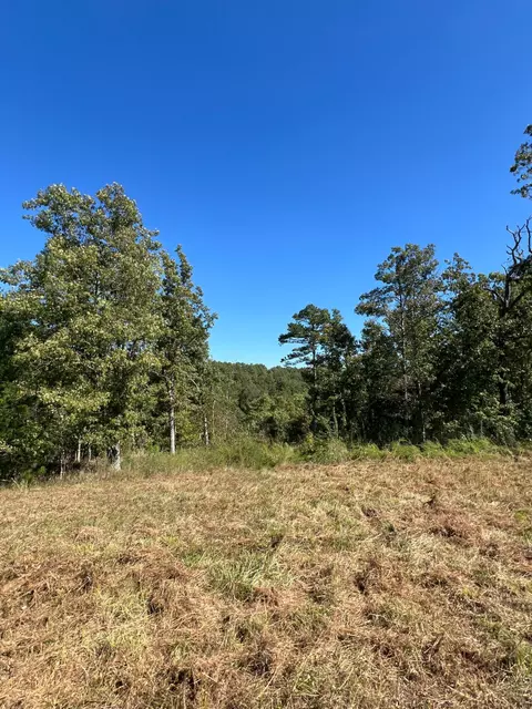 34771 Mo-14, Ava, MO 65608 photo 101