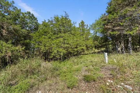 0 End Of Trail Dr, Branson, MO 65616 photo 8