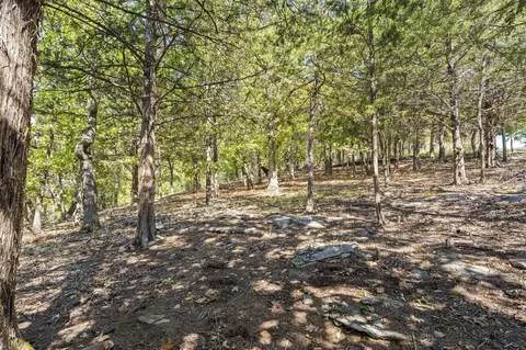 0 End Of Trail Dr, Branson, MO 65616 photo 10
