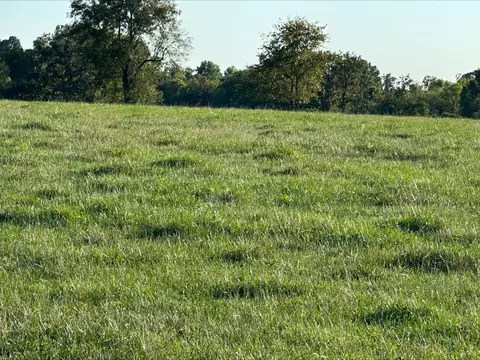 tbd State Highway Ff, Mount Vernon, MO 65712 photo 8
