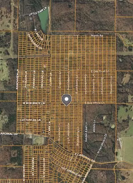 1303 Huckleberry Ln, Horseshoe Bend, AR 72512