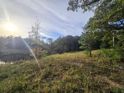 View/Area - Rr 1 Box 751, Cabool, MO 65689 photo 2 of 10