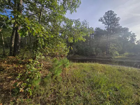 View/Area - Rr 1 Box 751, Cabool, MO 65689 photo 5 of 10