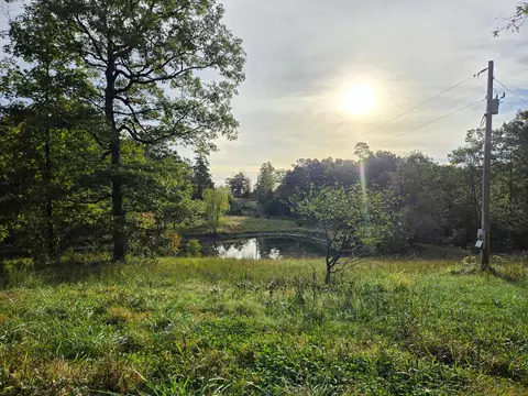 View/Area - Rr 1 Box 751, Cabool, MO 65689 photo 4 of 10