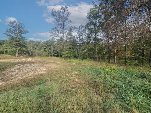 Exterior - Rr 1 Box 751, Cabool, MO 65689 photo 4 of 6