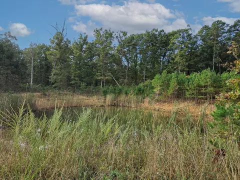 View/Area - Rr 1 Box 751, Cabool, MO 65689 photo 7 of 10