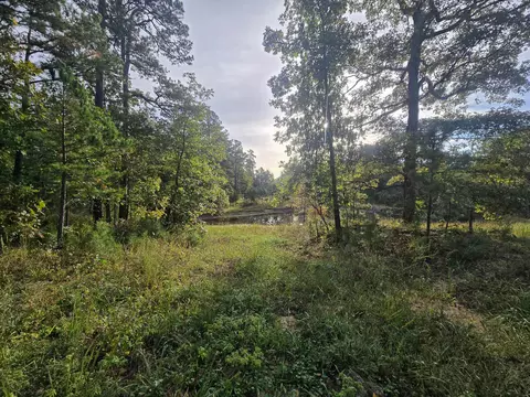 View/Area - Rr 1 Box 751, Cabool, MO 65689 photo 1 of 10