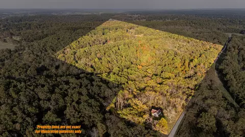 1251 County Road 7550, Pottersville, MO 65790