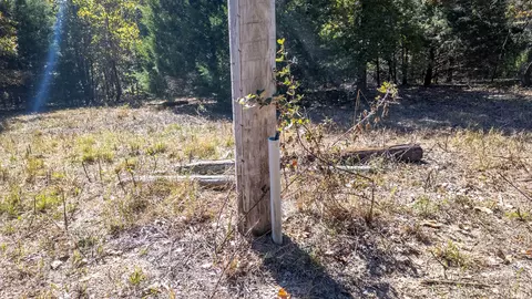 Other - 20256 Highway V, Myrtle, MO 65778 photo 20 of 21