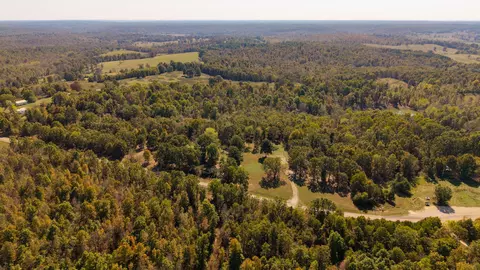 View/Area - 20256 Highway V, Myrtle, MO 65778 photo 2 of 12