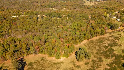 View/Area - 20256 Highway V, Myrtle, MO 65778 photo 9 of 12