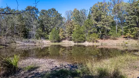 View/Area - 20256 Highway V, Myrtle, MO 65778 photo 4 of 12