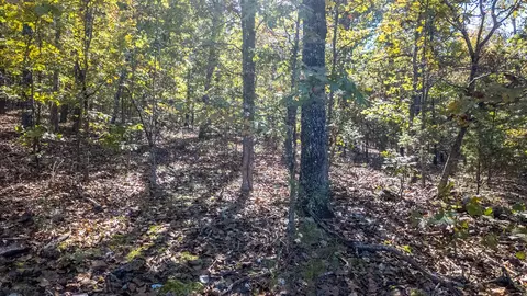 Exterior - 20256 Highway V, Myrtle, MO 65778 photo 7 of 8