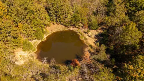 View/Area - 20256 Highway V, Myrtle, MO 65778 photo 5 of 12