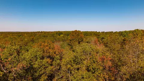 View/Area - 20256 Highway V, Myrtle, MO 65778 photo 10 of 12