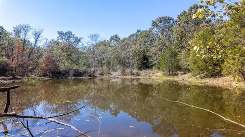 View/Area - 20256 Highway V, Myrtle, MO 65778 photo 3 of 12