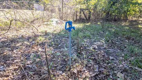 Exterior - 20256 Highway V, Myrtle, MO 65778 photo 2 of 8