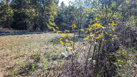 Other - 20256 Highway V, Myrtle, MO 65778 photo 21 of 21