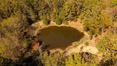 View/Area - 20256 Highway V, Myrtle, MO 65778 photo 6 of 12